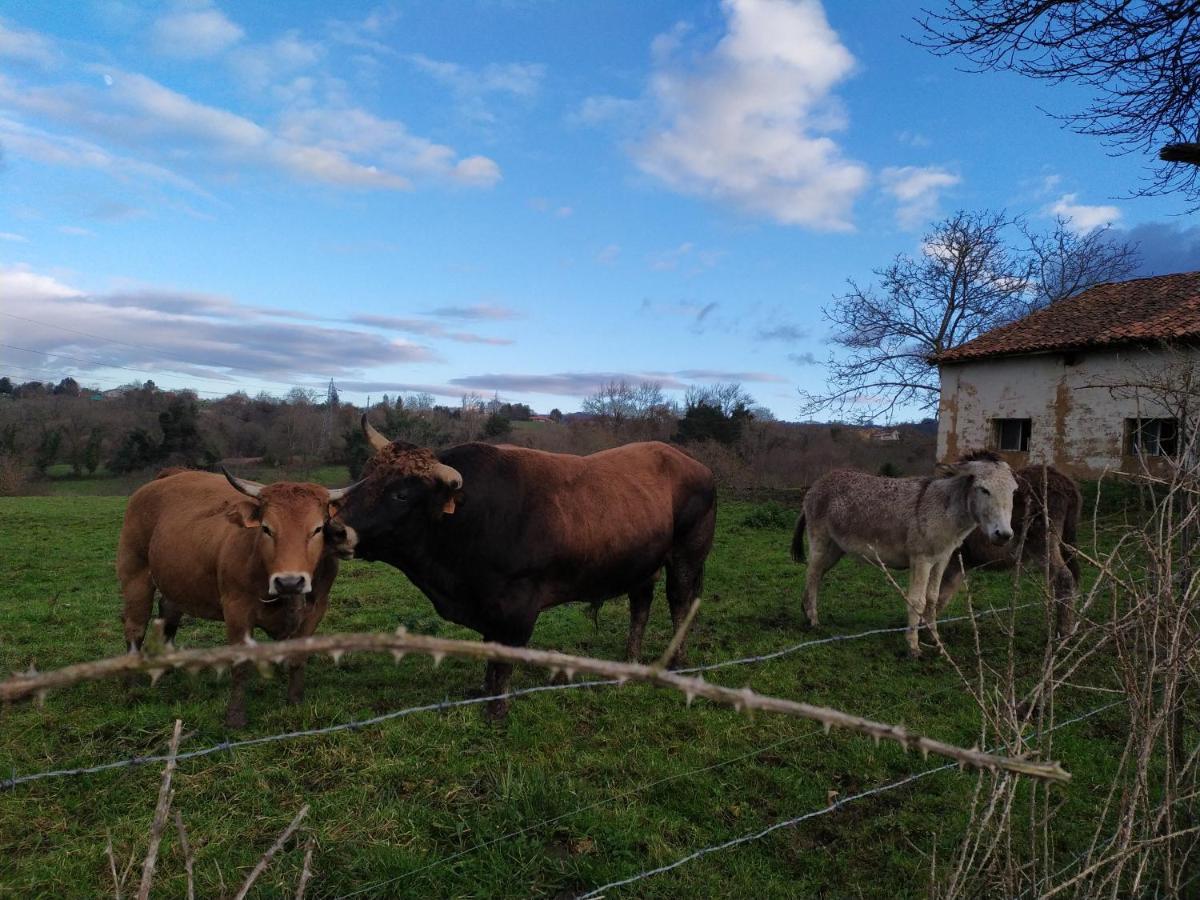 Maison d'hôtes Casa Pepin - Sagasta Rural Oviede Extérieur photo